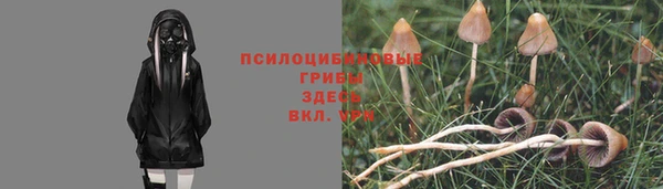 дживик Карталы