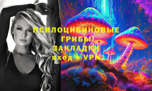 дживик Карталы